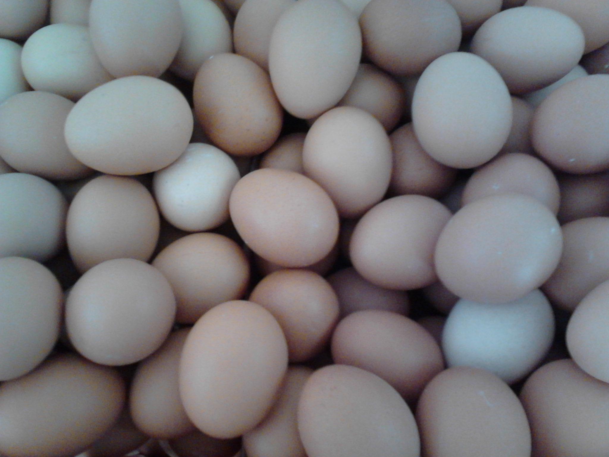 永利集团·yl8cc(中国游)官方网站