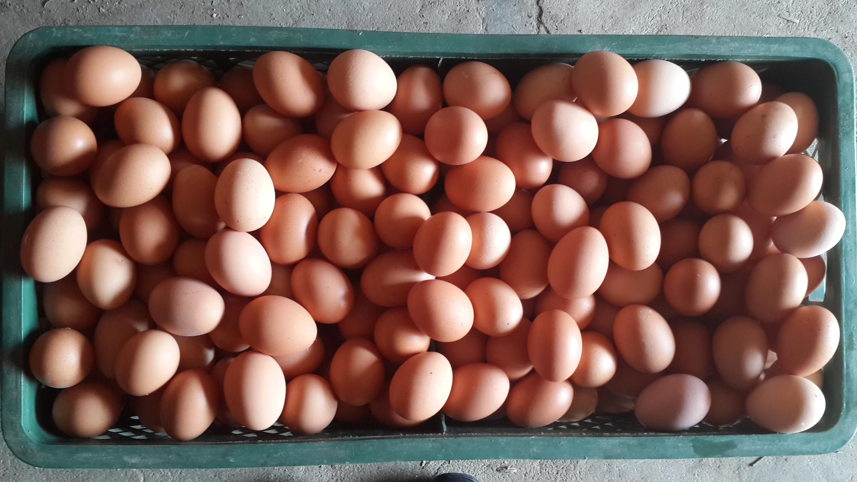 永利集团·yl8cc(中国游)官方网站