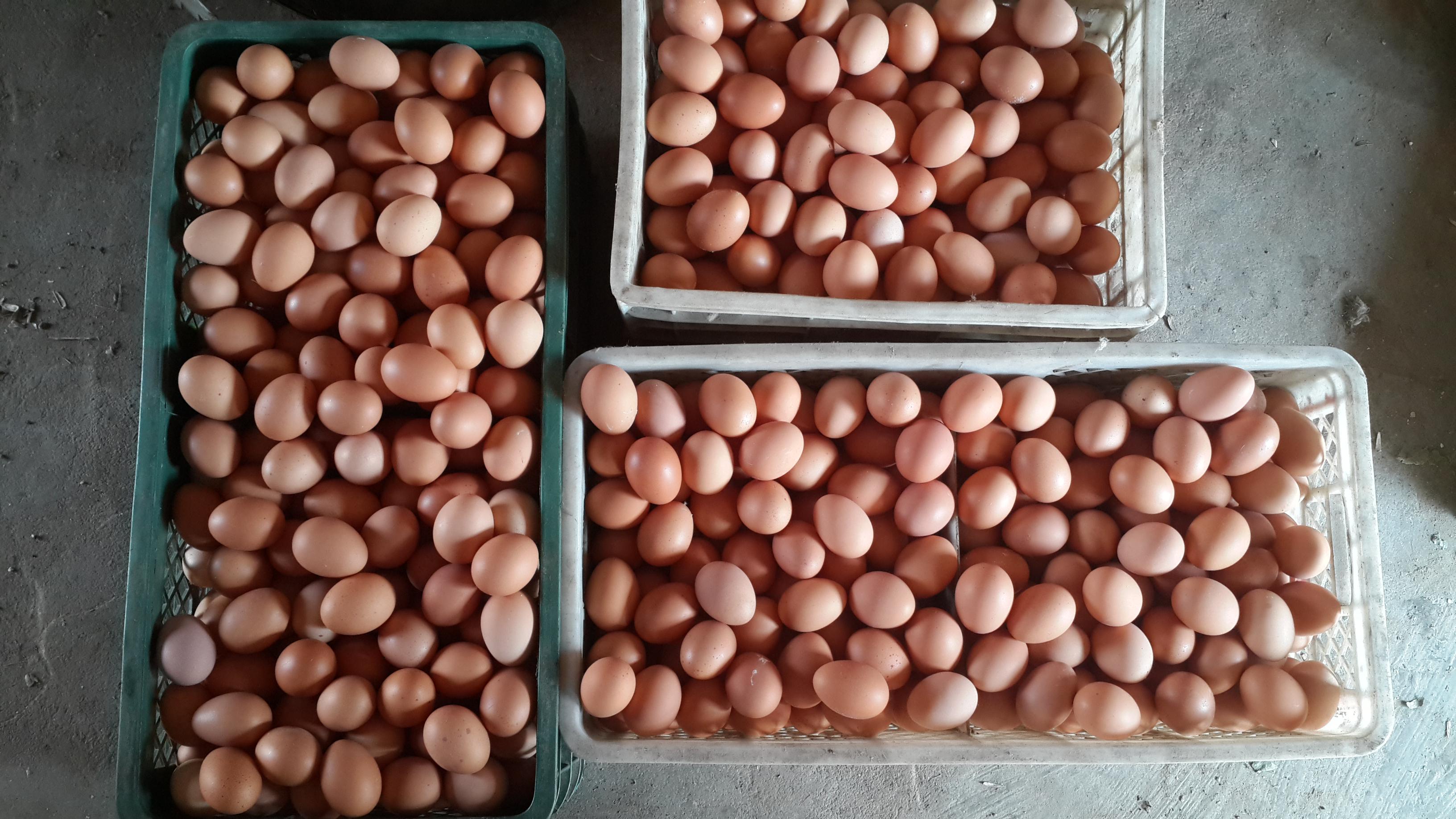 永利集团·yl8cc(中国游)官方网站