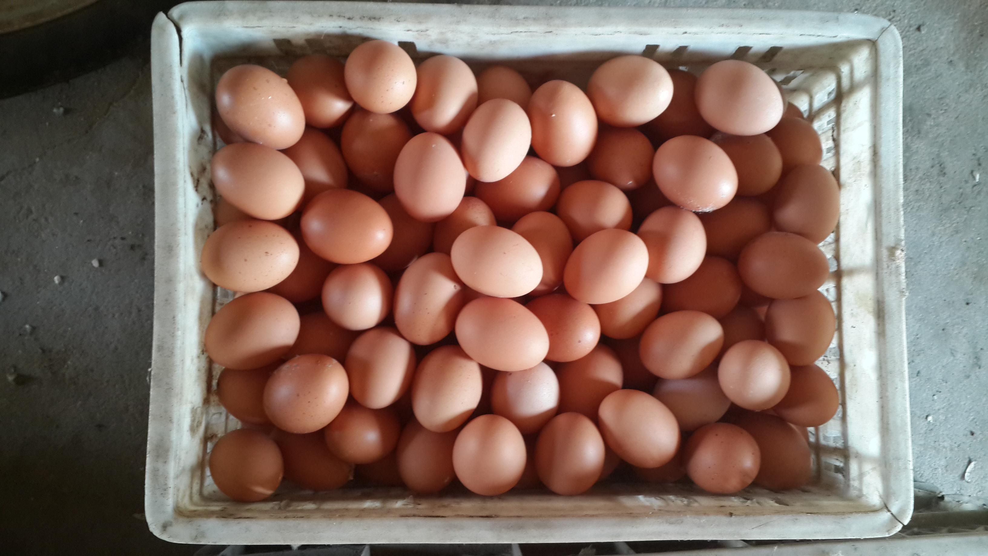 永利集团·yl8cc(中国游)官方网站