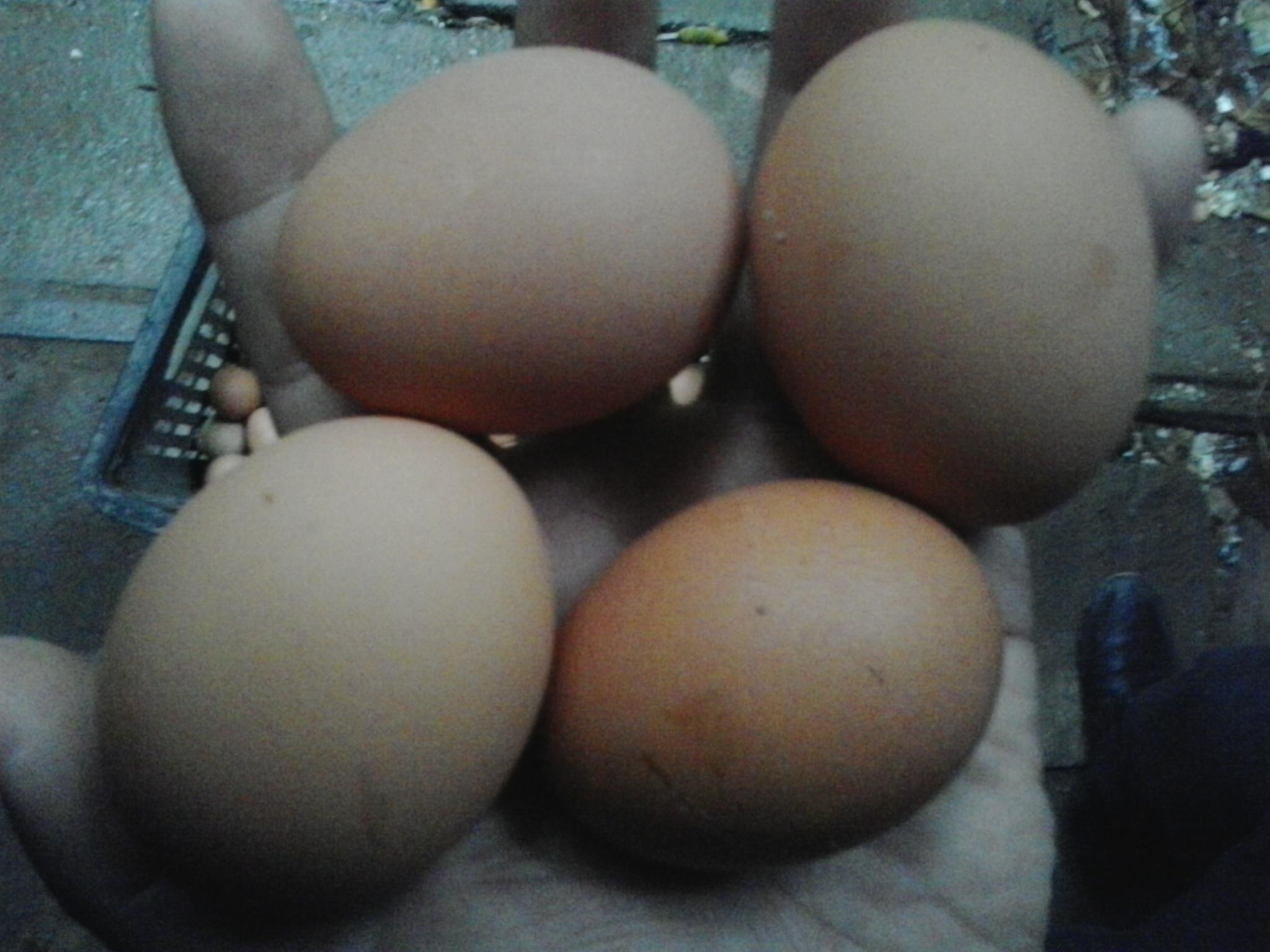 永利集团·yl8cc(中国游)官方网站