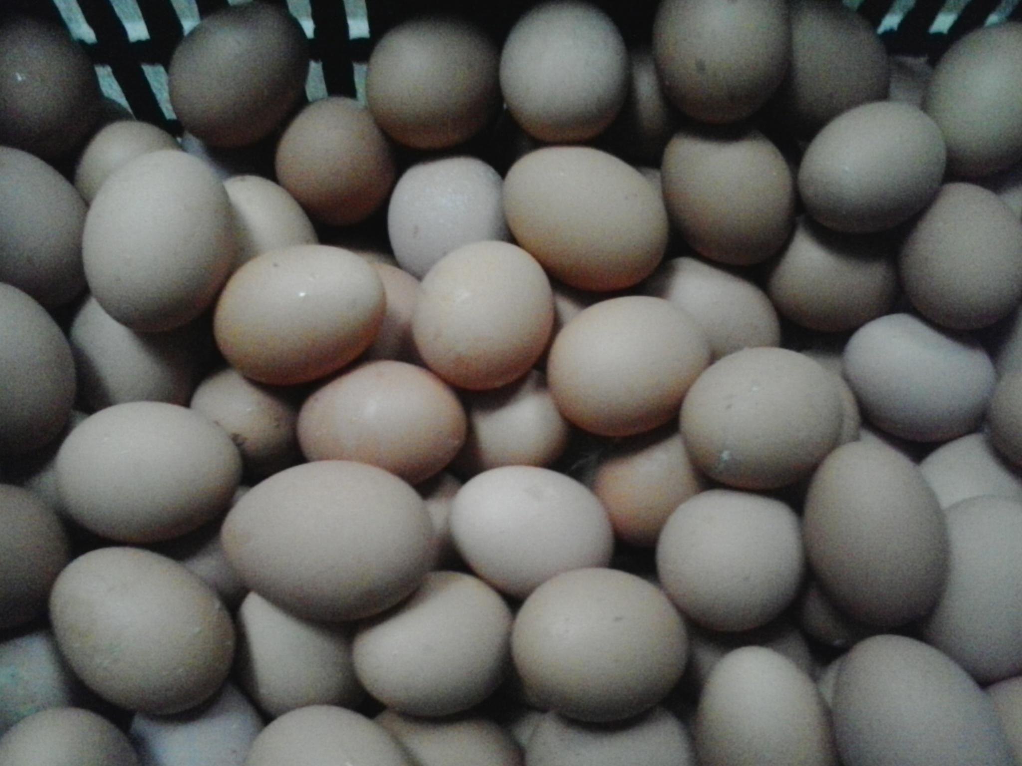 永利集团·yl8cc(中国游)官方网站