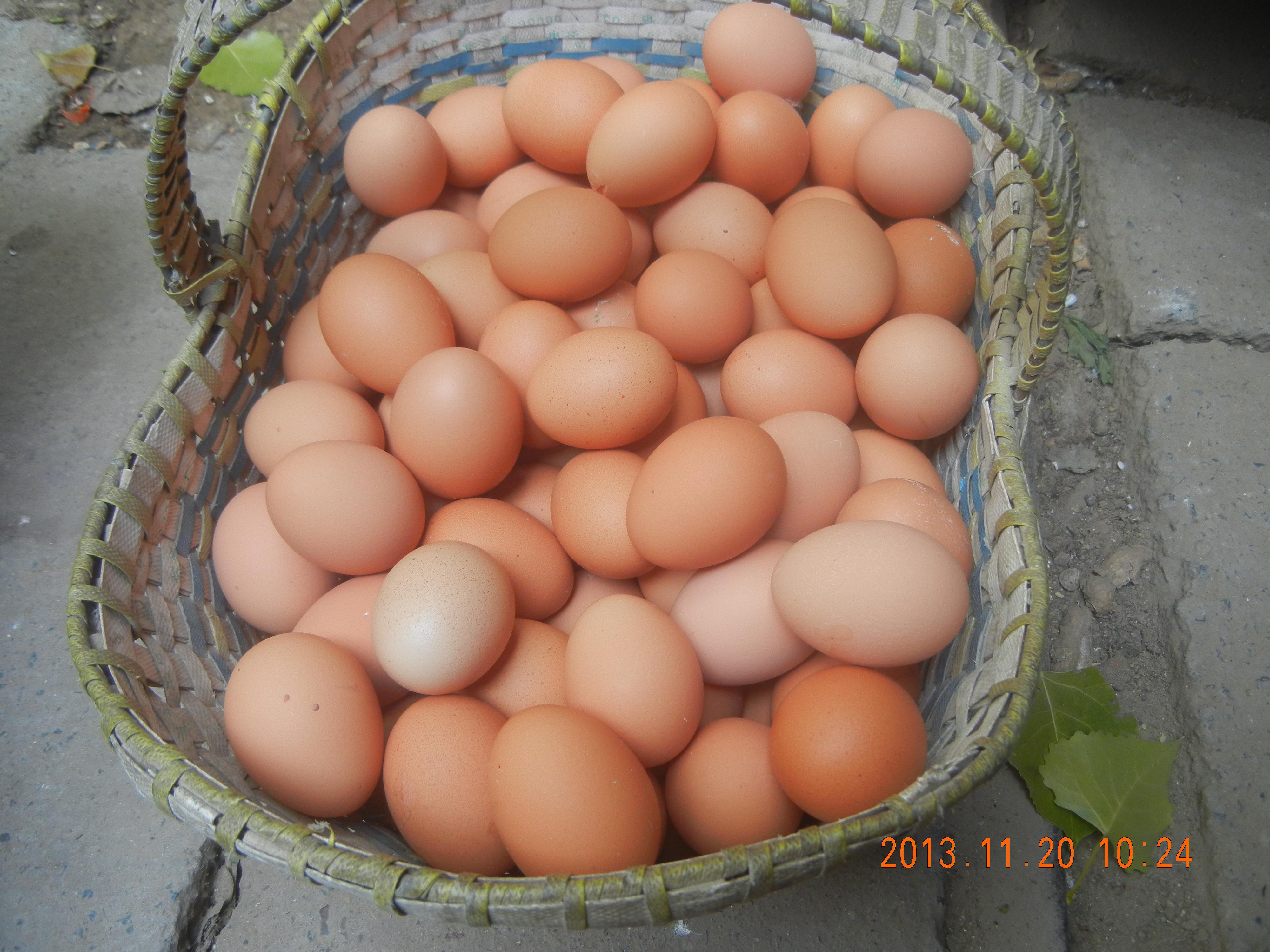 永利集团·yl8cc(中国游)官方网站