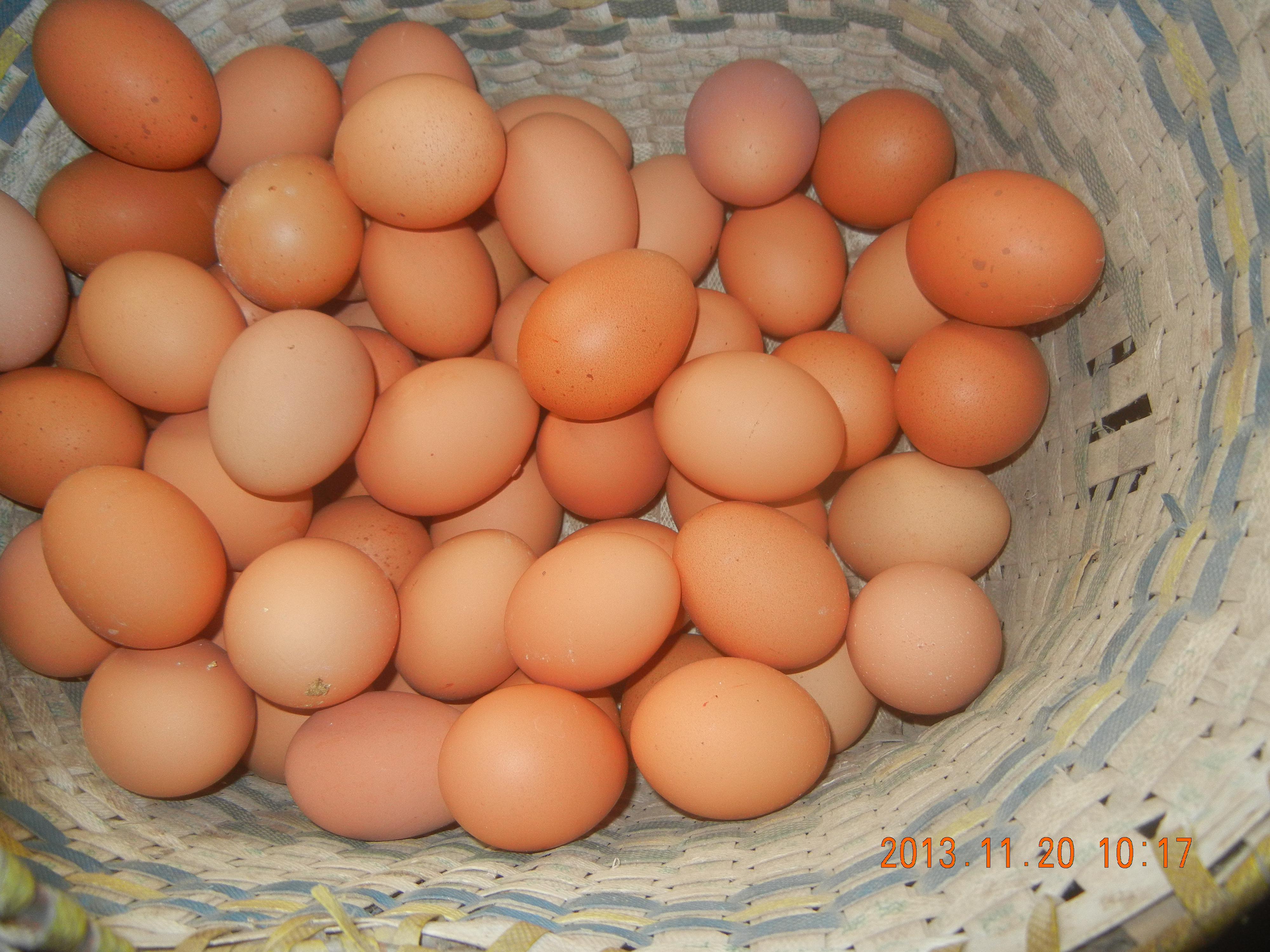 永利集团·yl8cc(中国游)官方网站