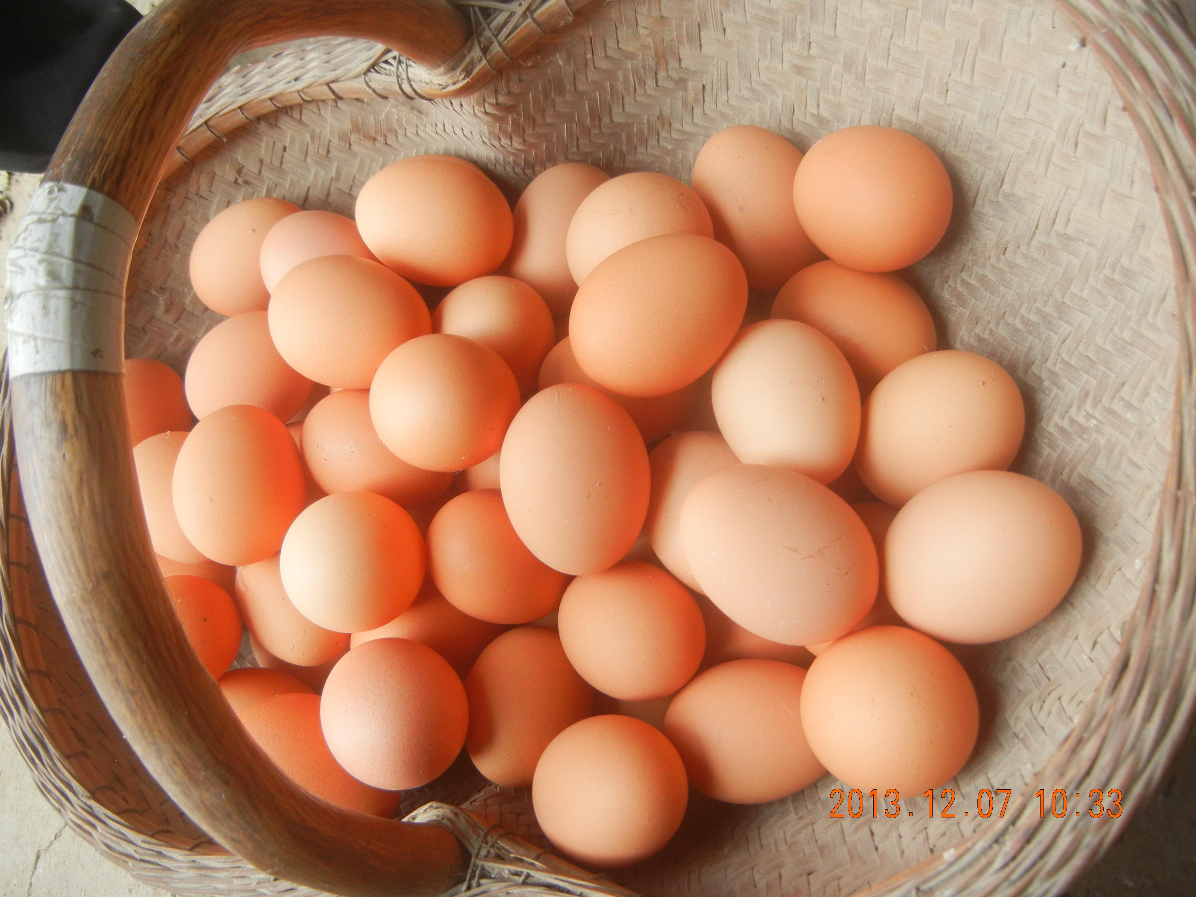 永利集团·yl8cc(中国游)官方网站