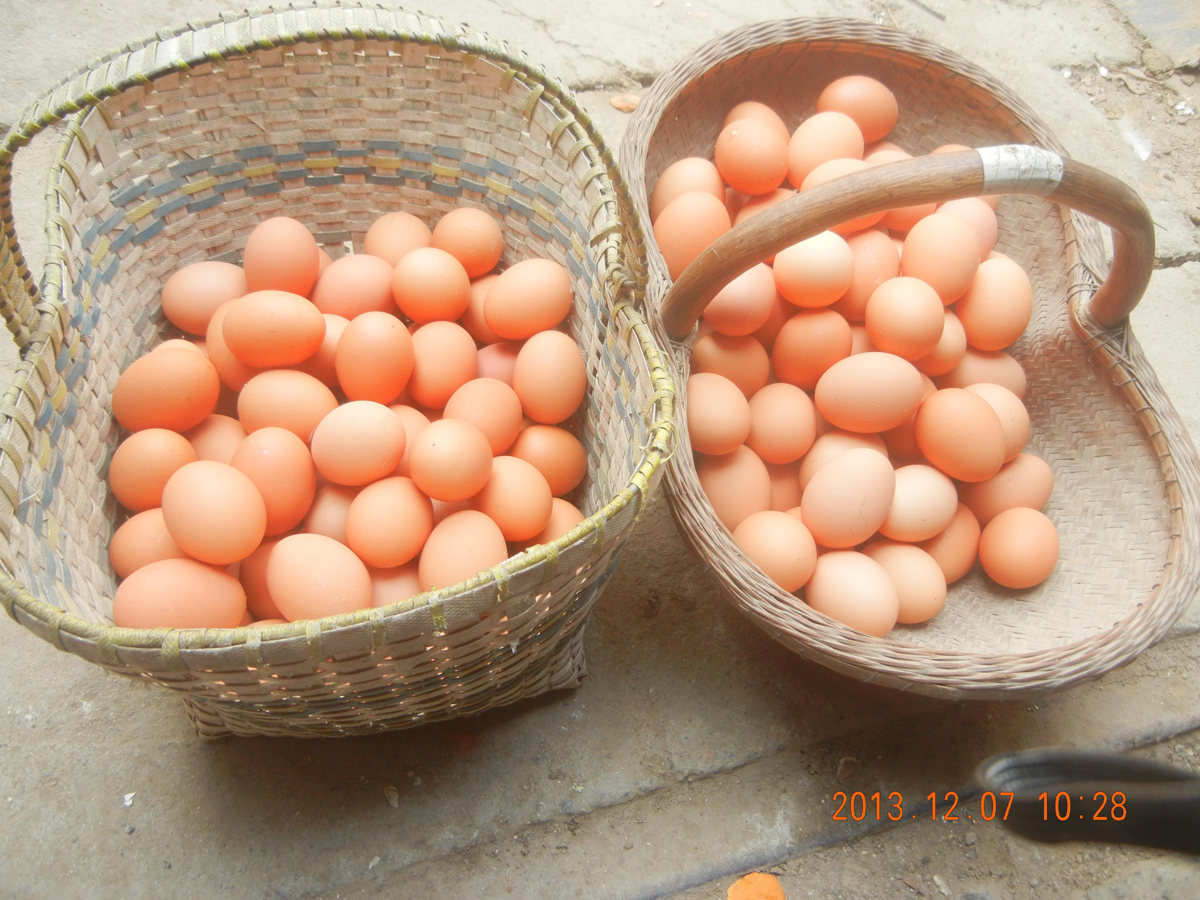 永利集团·yl8cc(中国游)官方网站