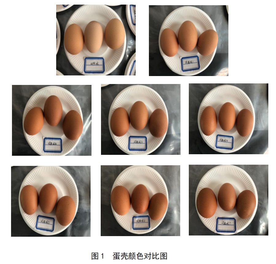 永利集团·yl8cc(中国游)官方网站