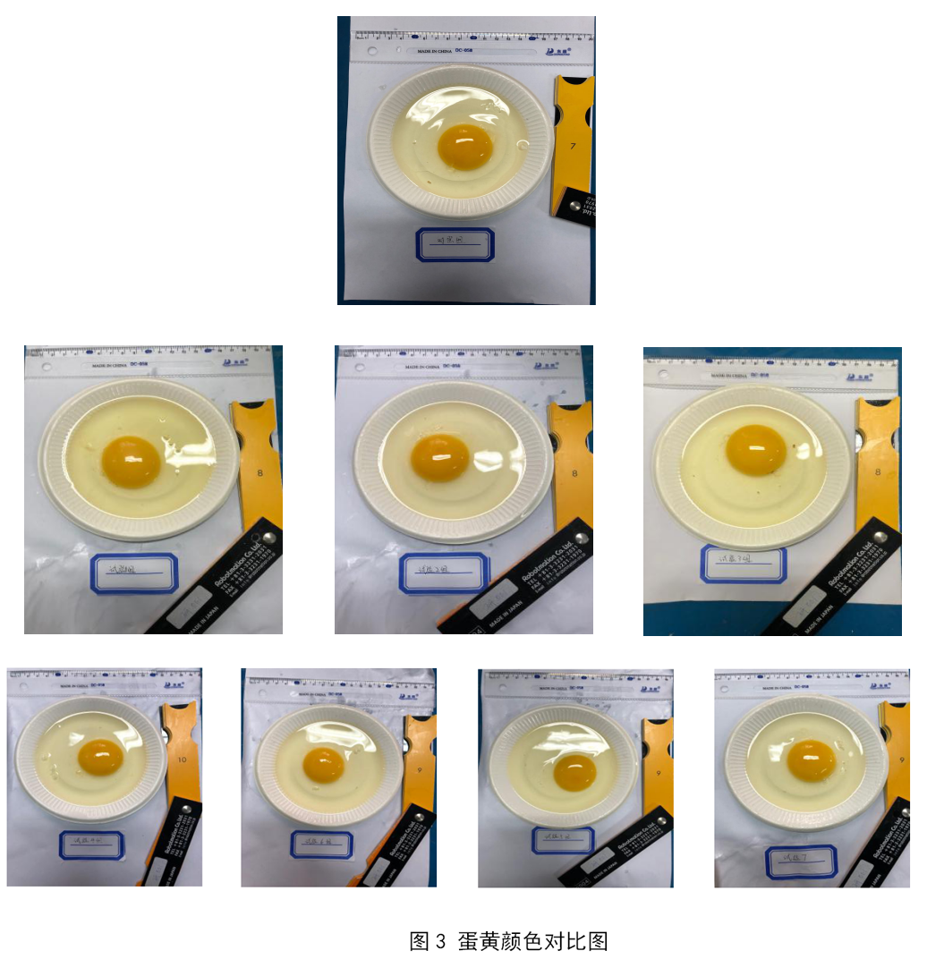 永利集团·yl8cc(中国游)官方网站