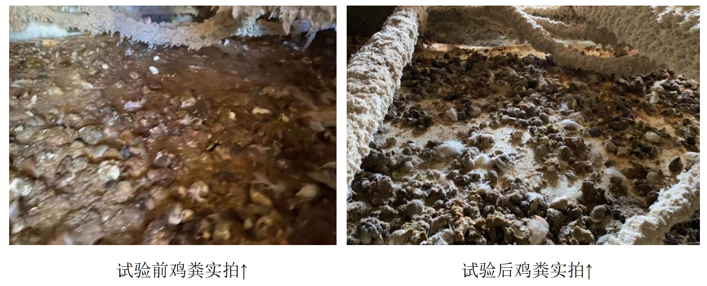 永利集团·yl8cc(中国游)官方网站