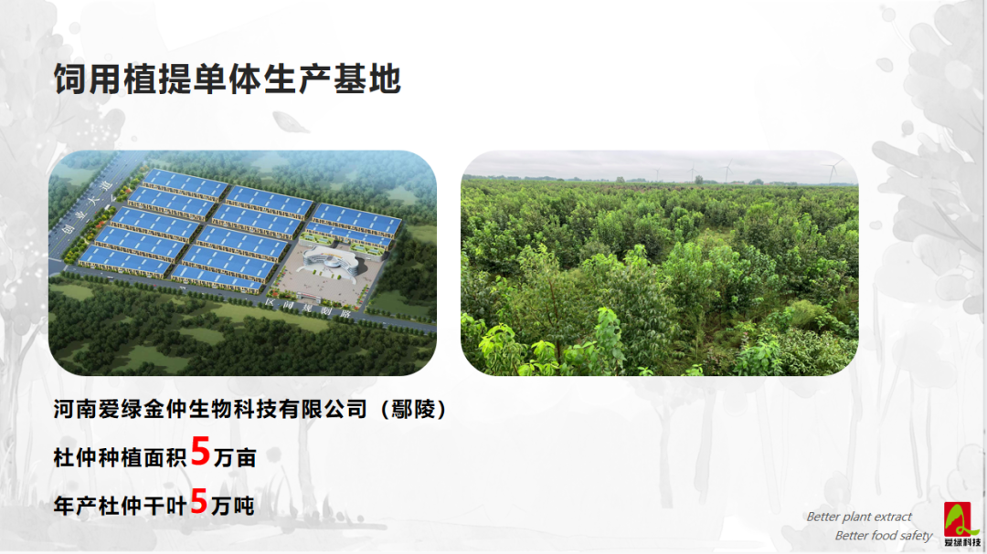 永利集团·yl8cc(中国游)官方网站