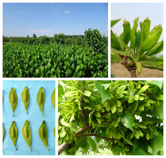 永利集团·yl8cc(中国游)官方网站