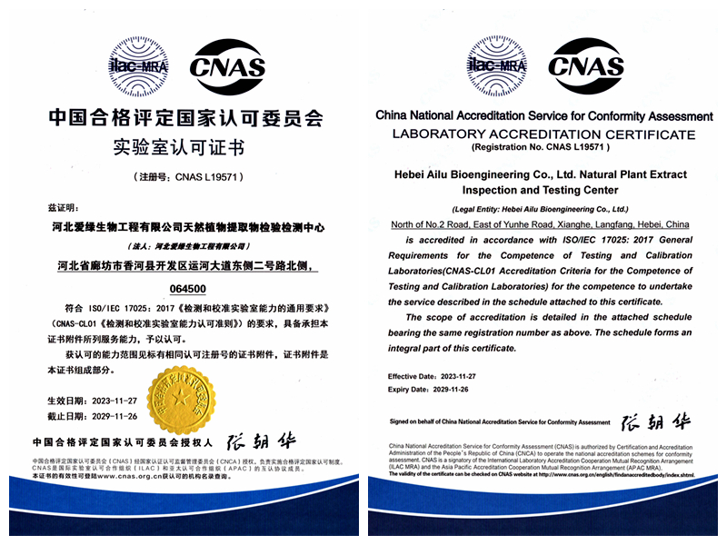 永利集团·yl8cc(中国游)官方网站